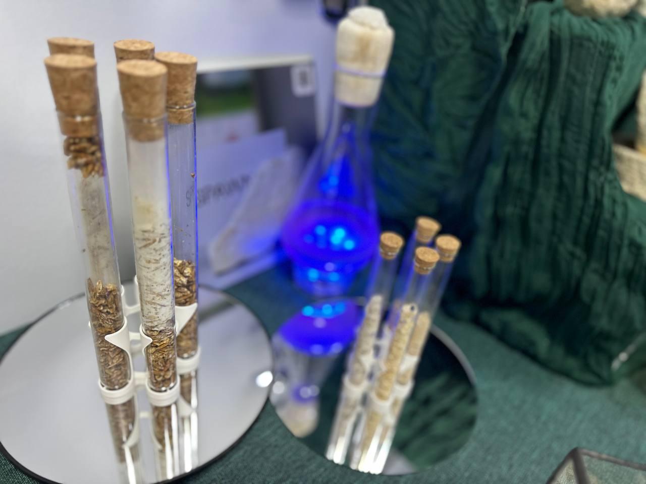 Фото: телеграм-канал Кирилла Соловейчика