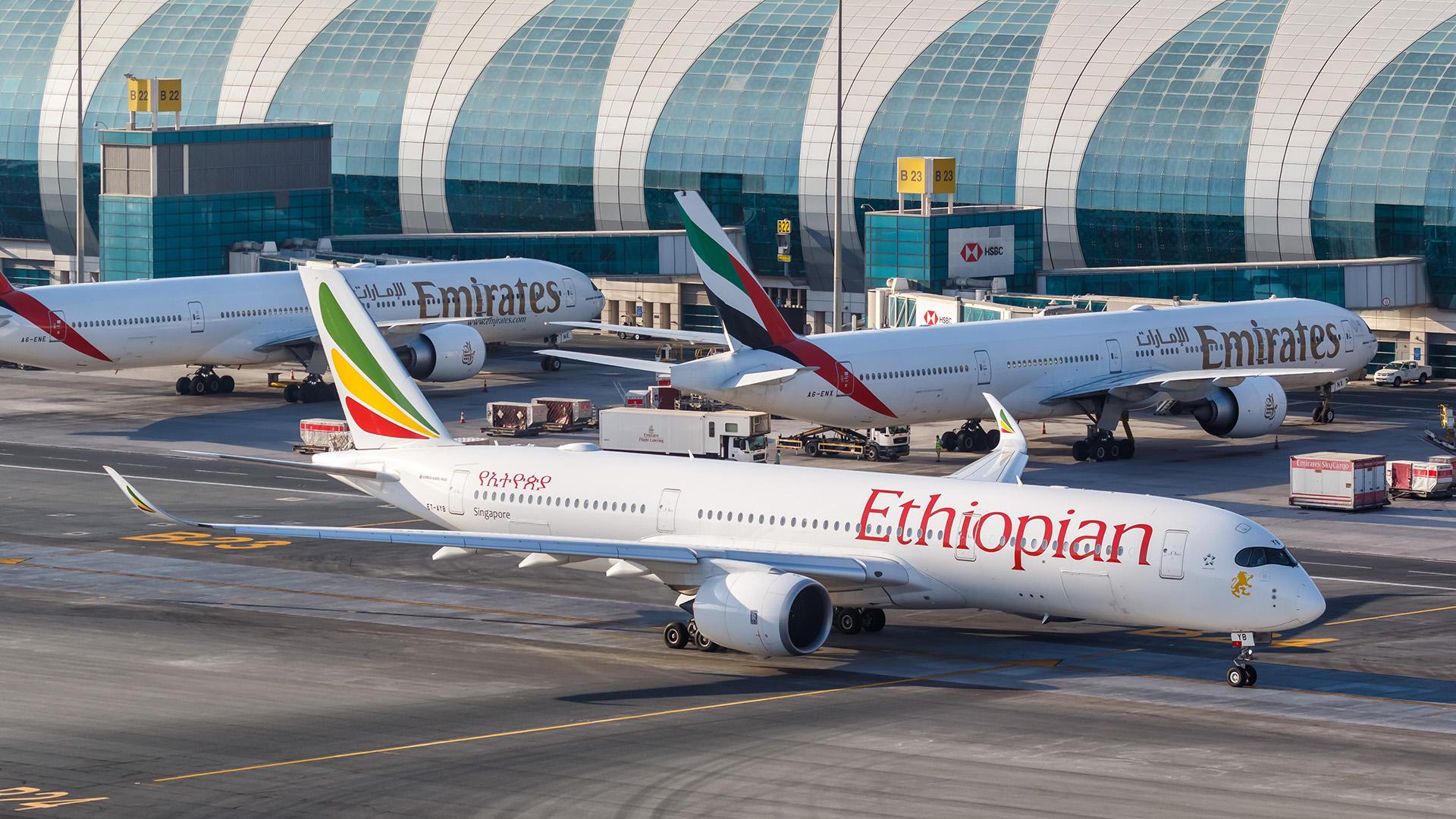 Фото: Markus Mainka globallookpress.com