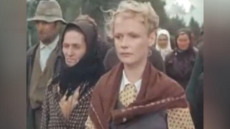 Фото: kino-teatr.ru