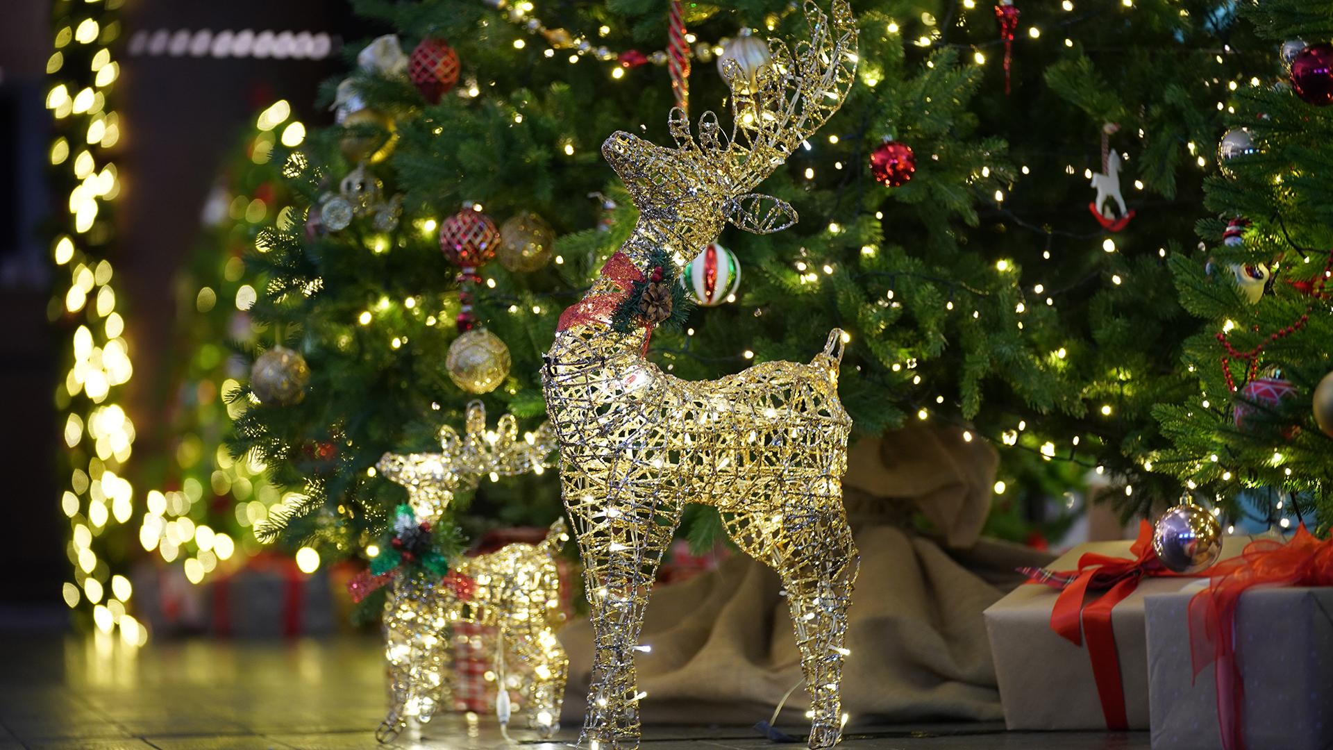 Фото: ИЗВЕСТИЯ Сергей Лантюхов