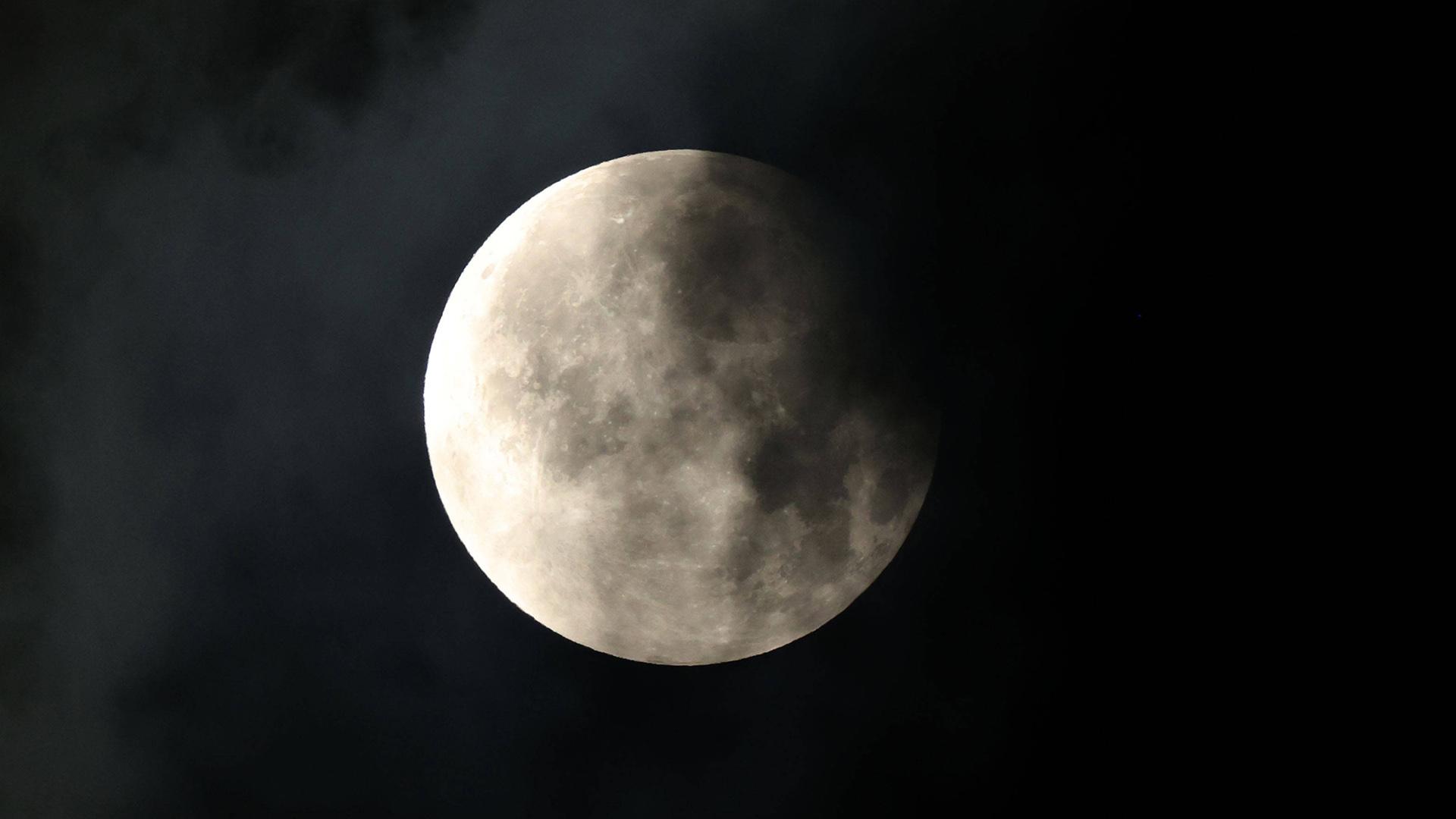 Фото: IMAGO Paul Marriott globallookpress.com