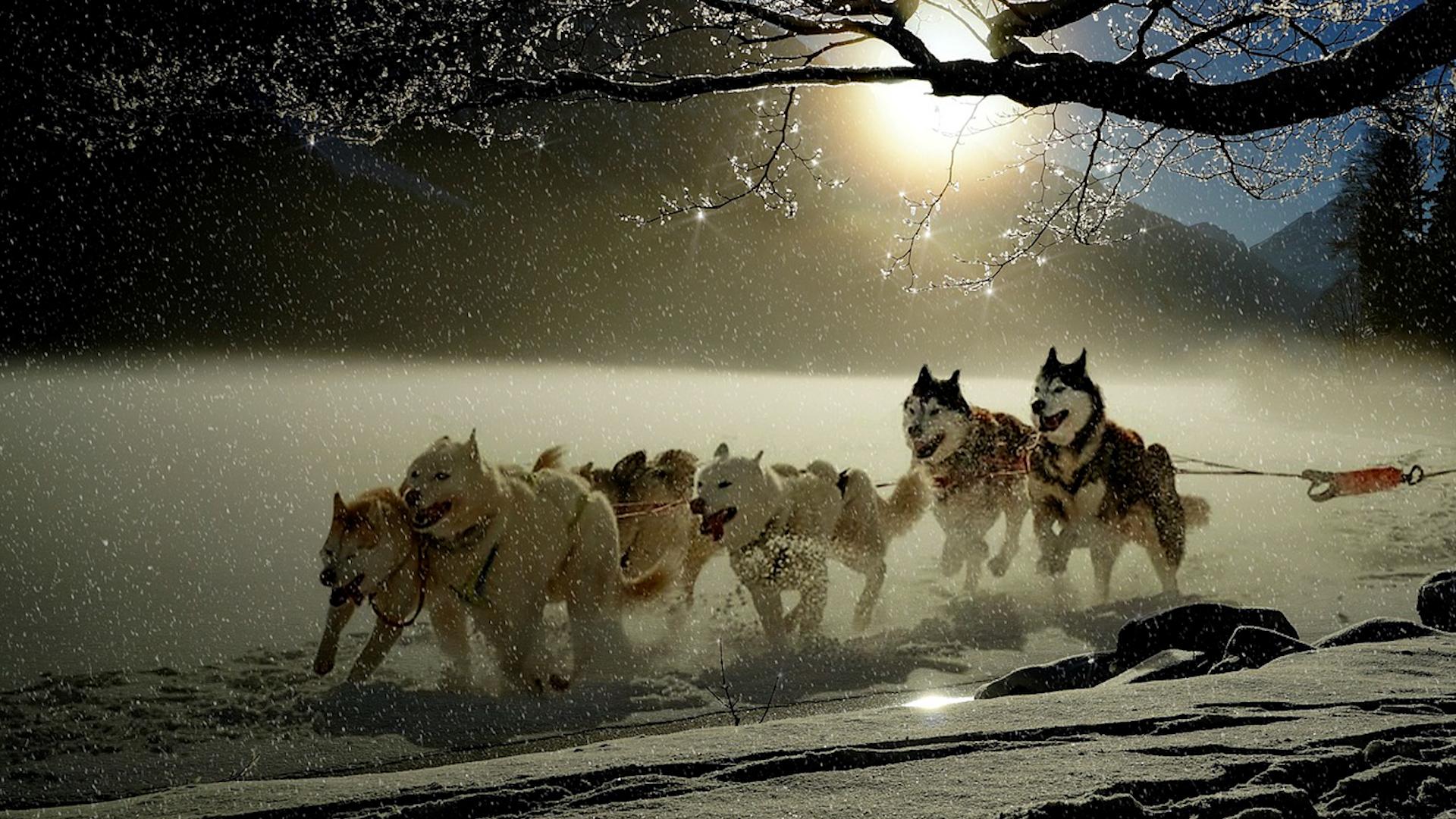 Фото: ru.freepik.com