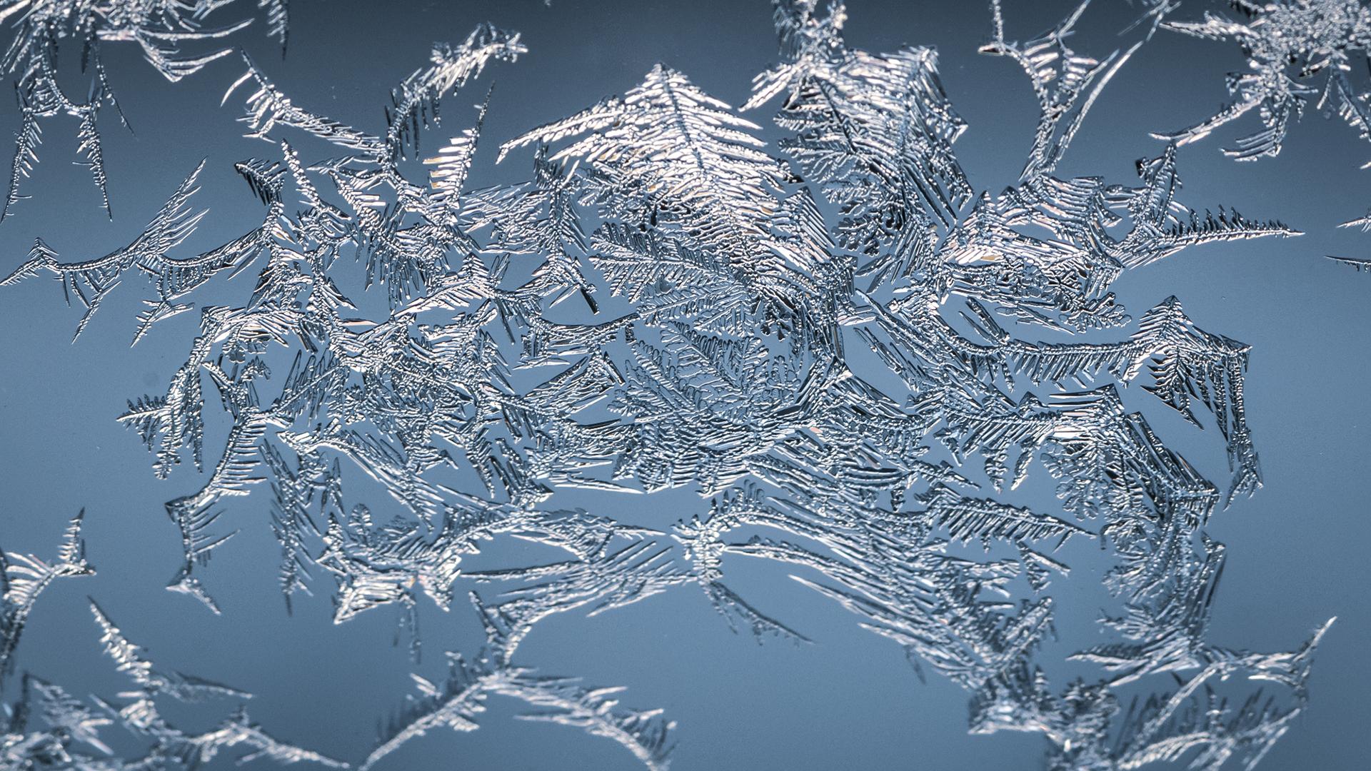 Фото: freepik.com wirestock