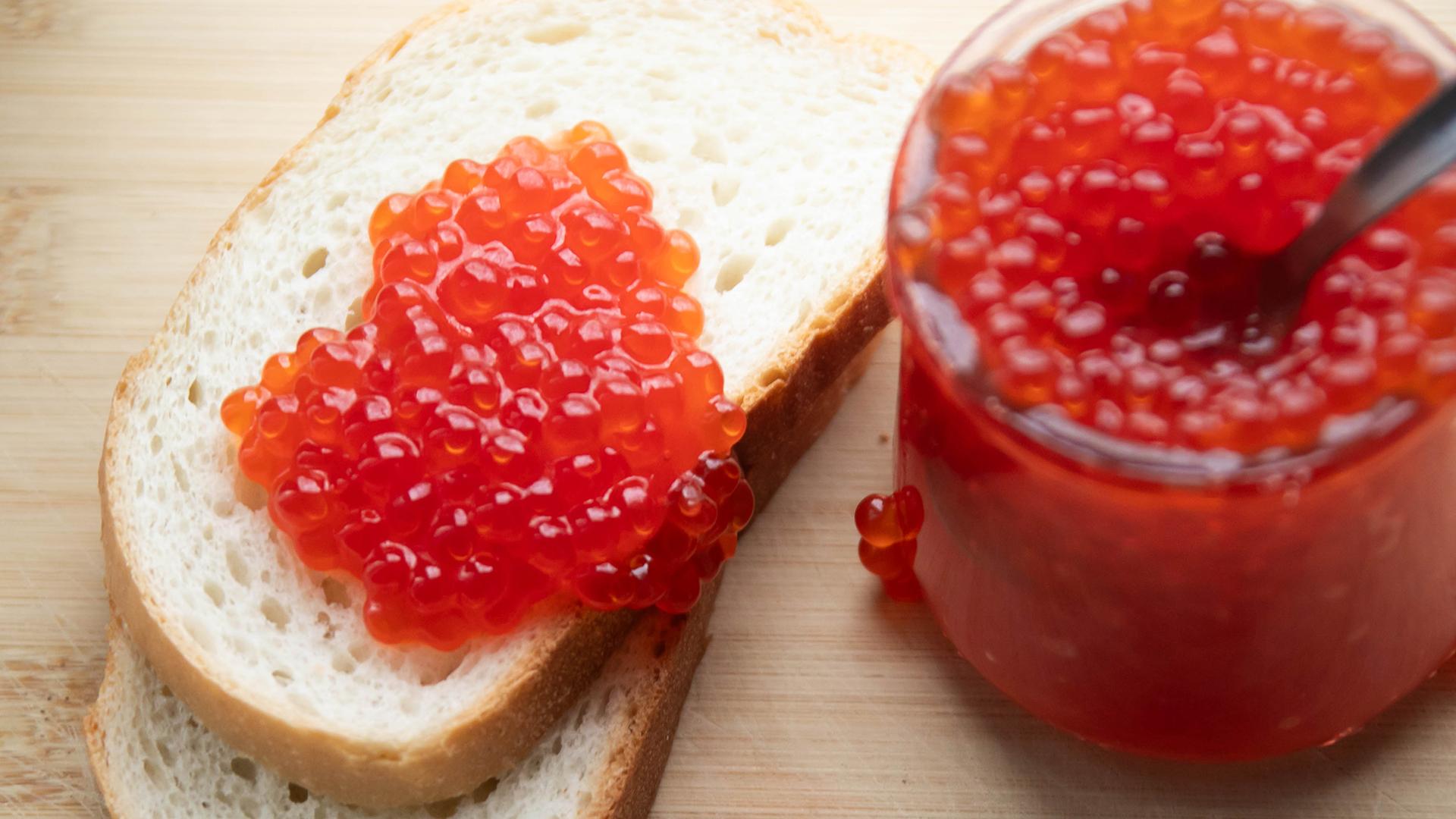 Фото: Pogiba Alexandra globallookpress.com