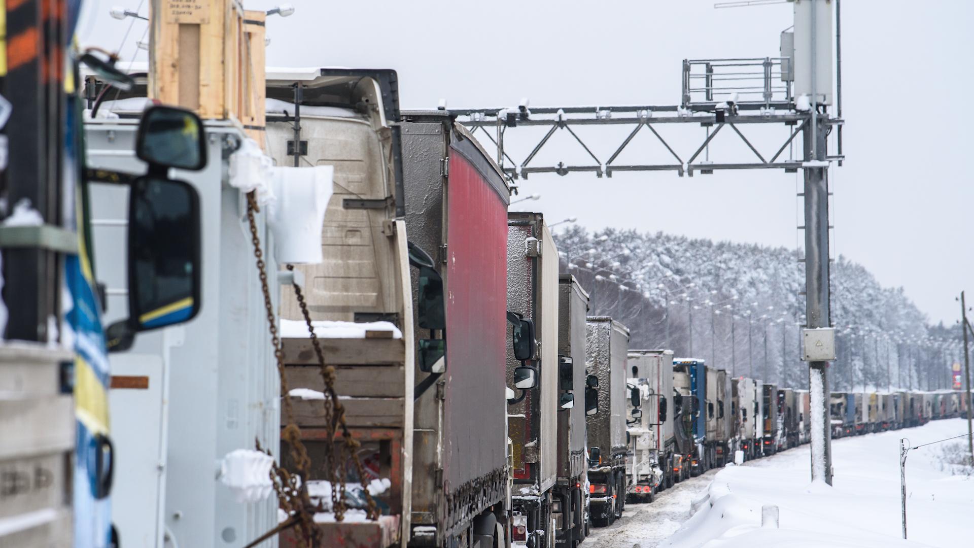 Фото: Ilya Moskovets globallookpress.com