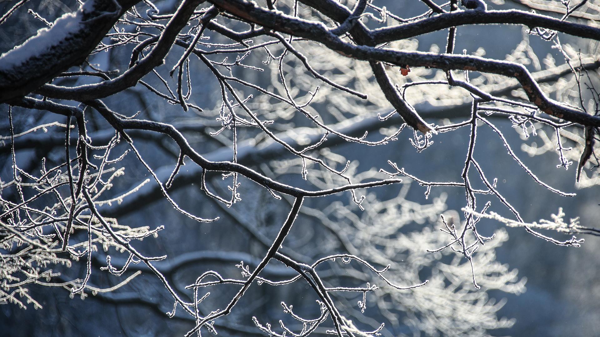 Фото: Lantyukhov Sergey globallookpress.com