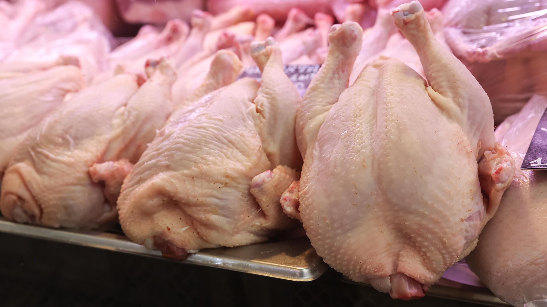 Фото: Petrov Sergey globallookpress.com