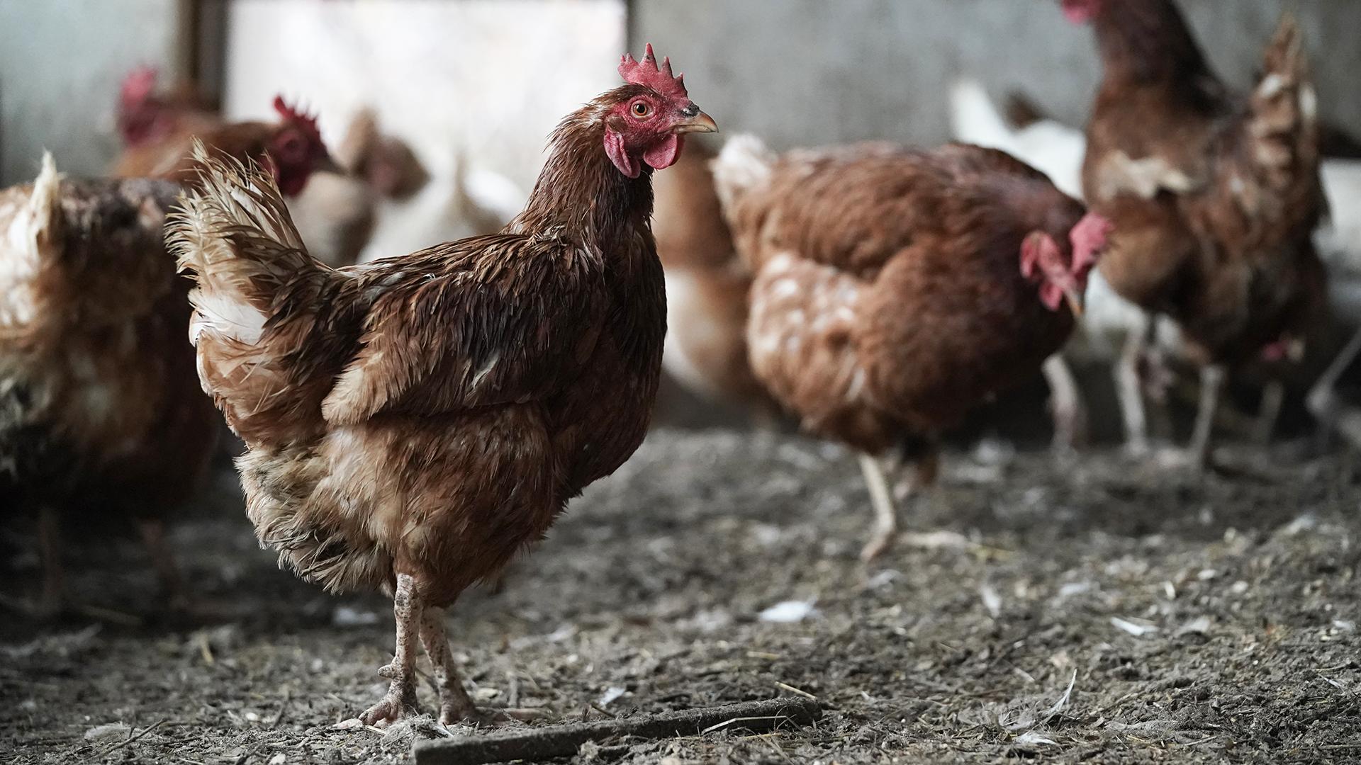 Фото: ИЗВЕСТИЯ Эдуард Корниенко