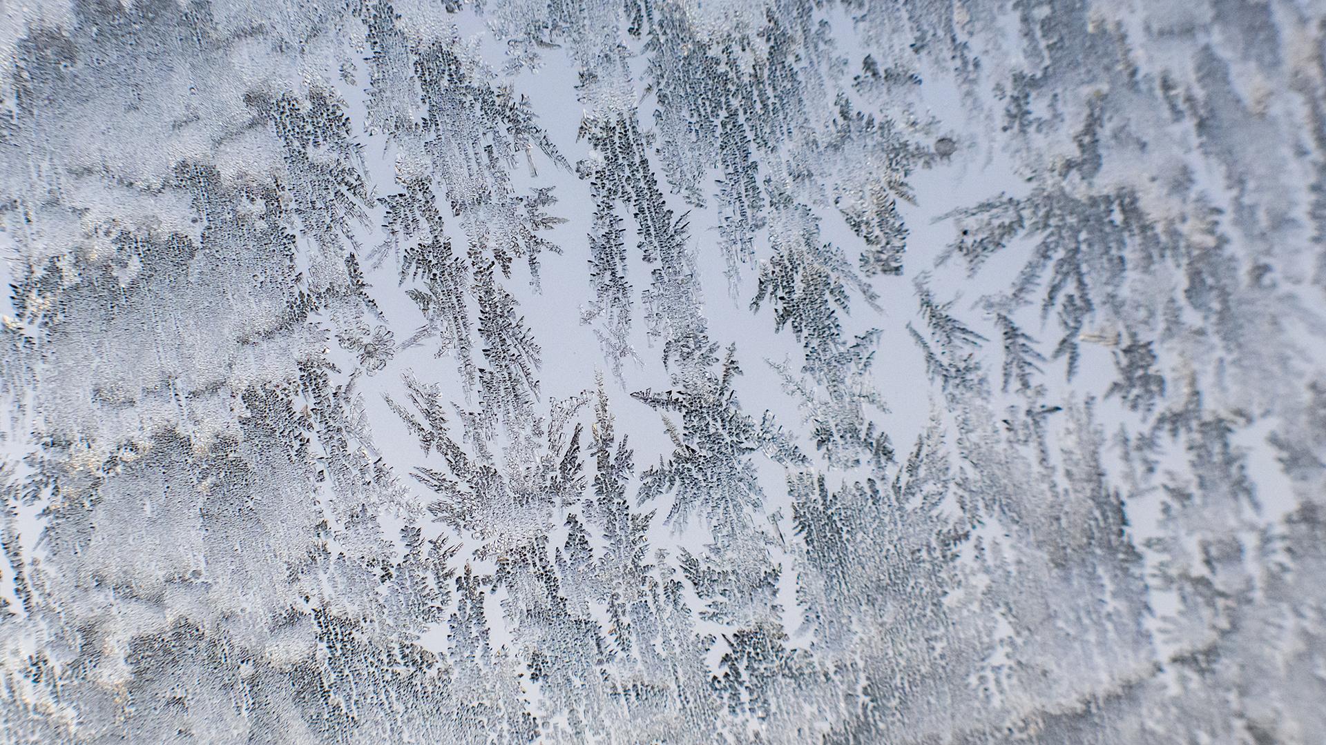 Фото: Julian Stratenschulte globallookpress.com