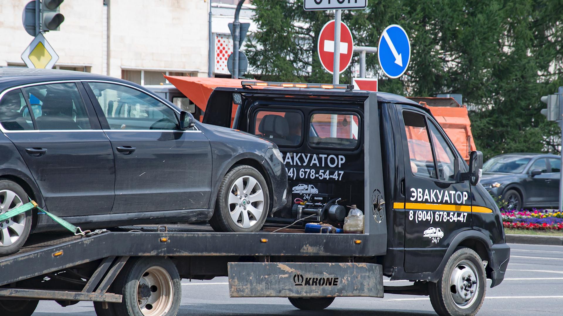 Фото: Oleg Spiridonov globallookpress.com