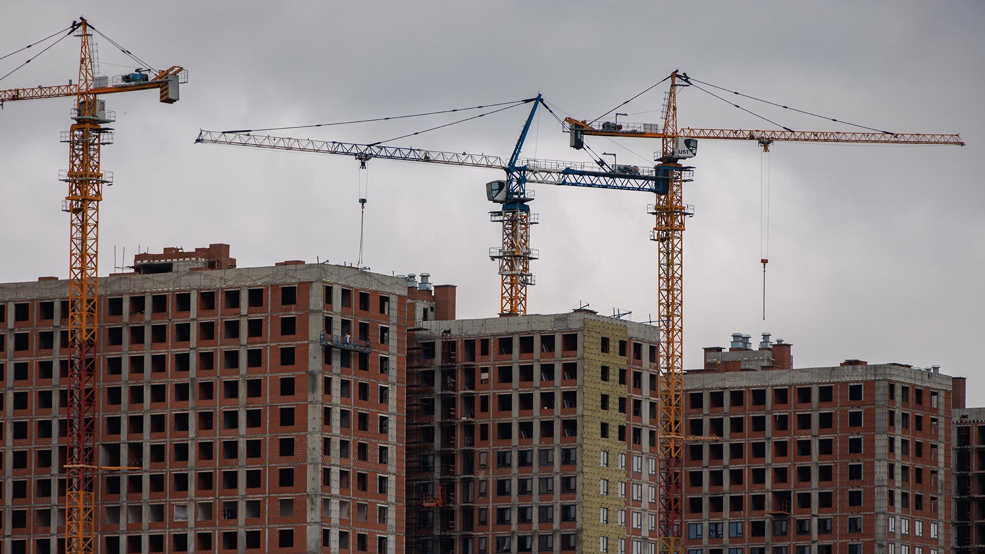 Фото: Sergey Elagin globallookpress.com