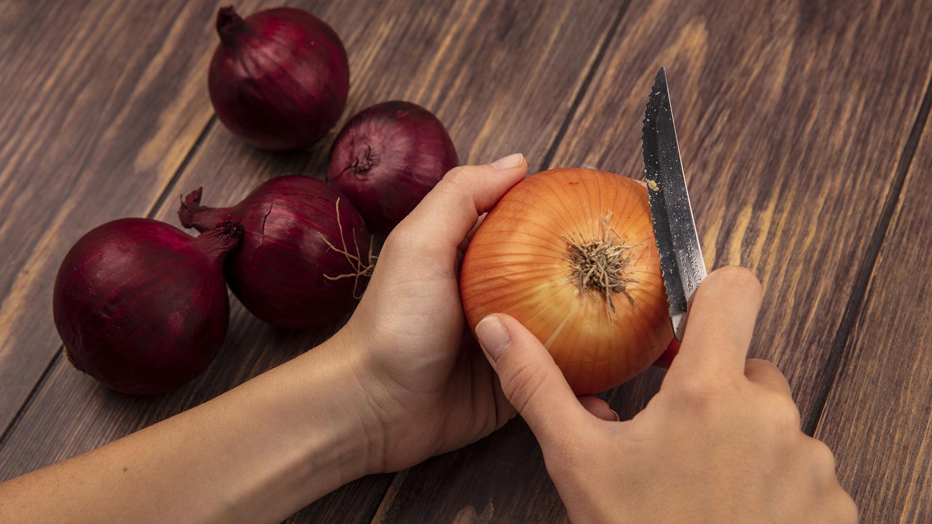 Фото: freepik.com stockking