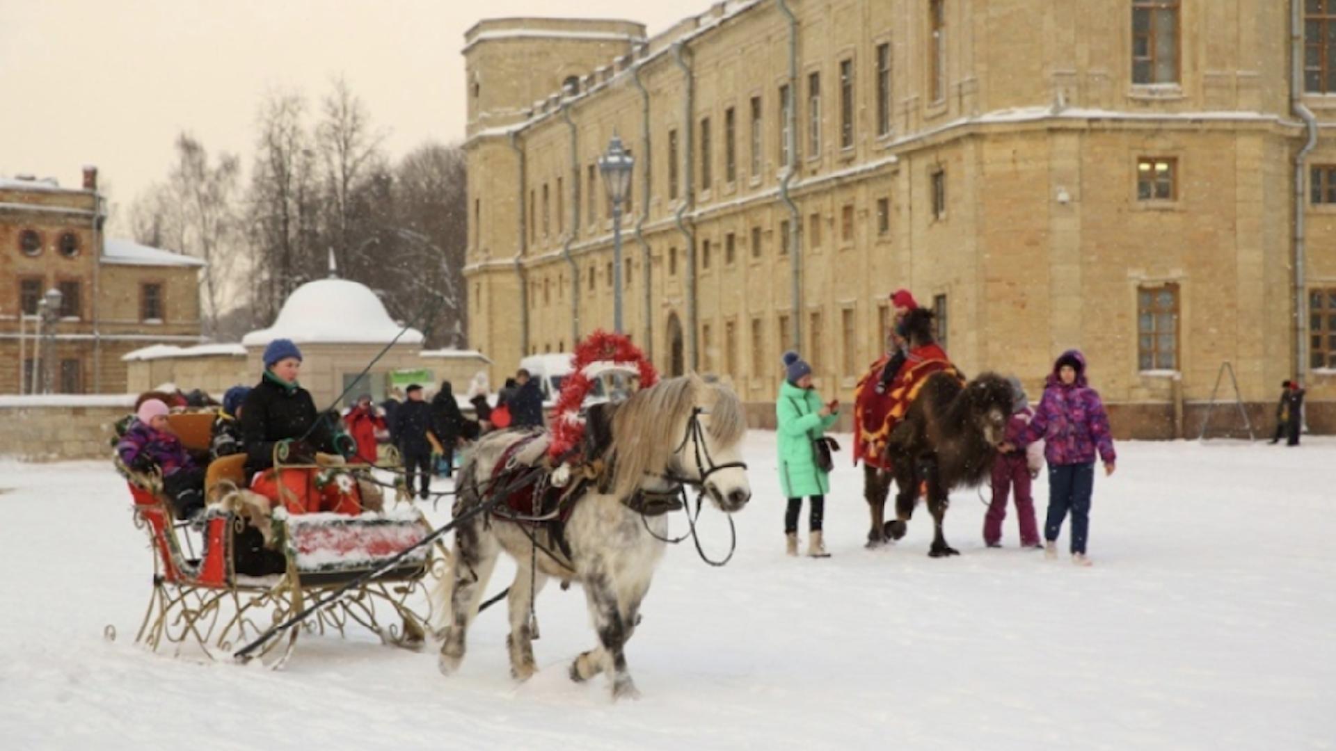 Фото: kuda-spb.ru