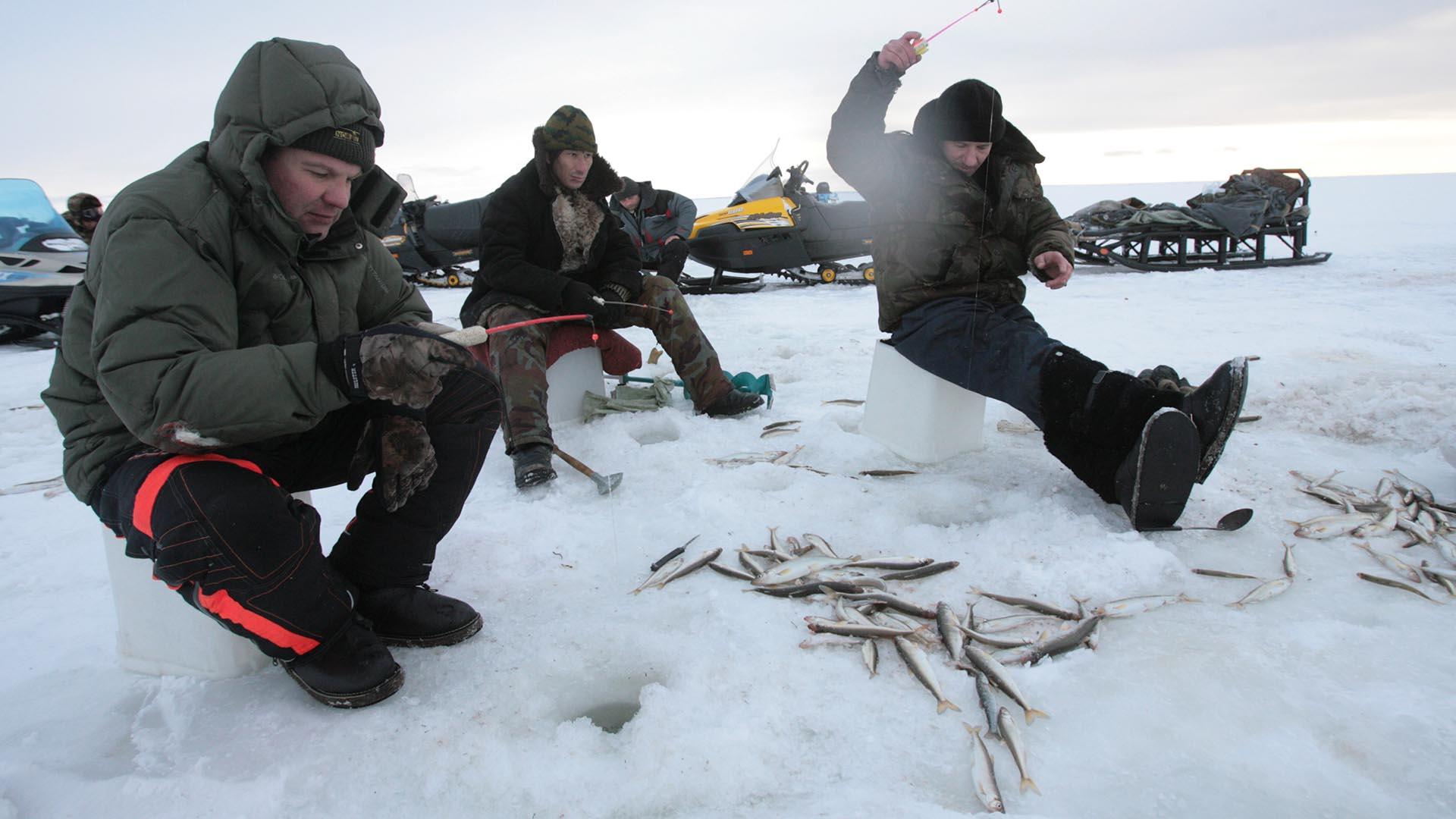 Фото: ИЗВЕСТИЯ Владимир Суворов