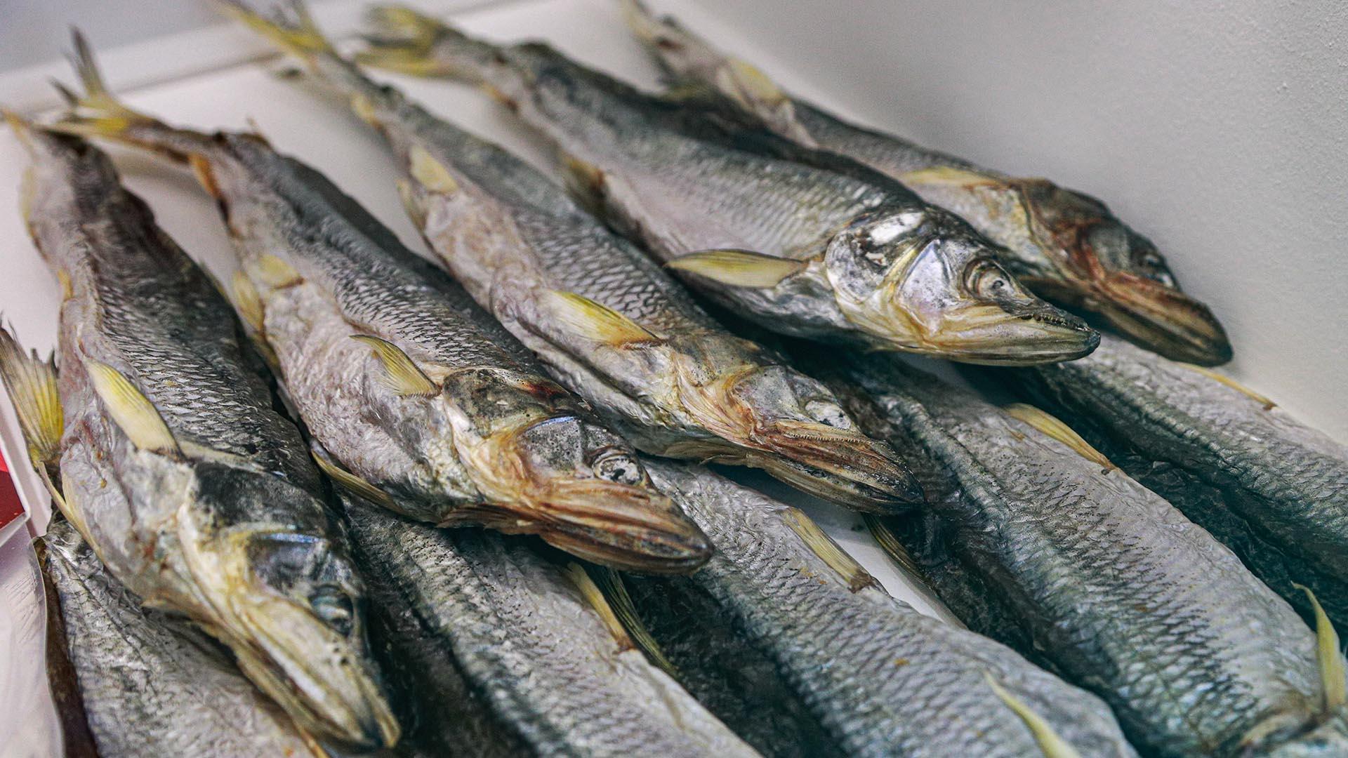 Фото: Bulkin Sergey globallookpress.com