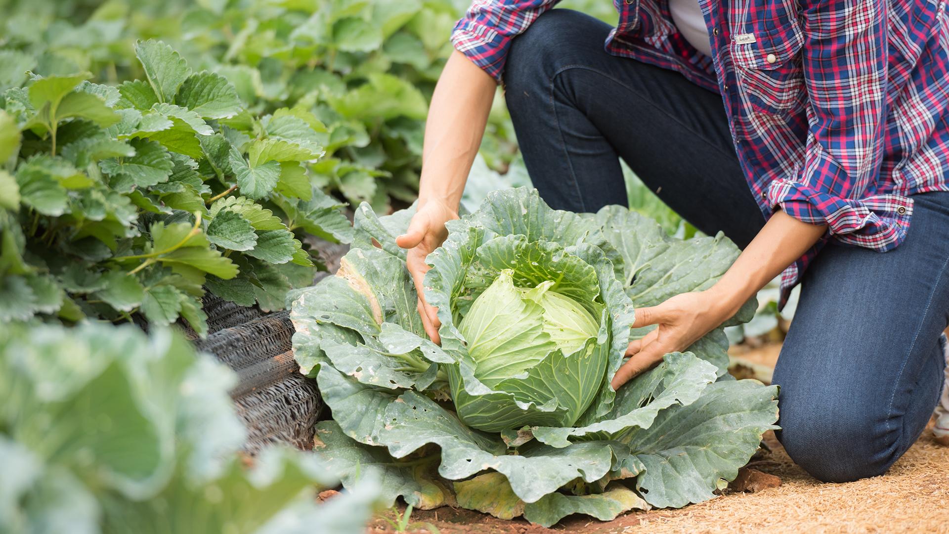 Фото: freepik.com jcomp