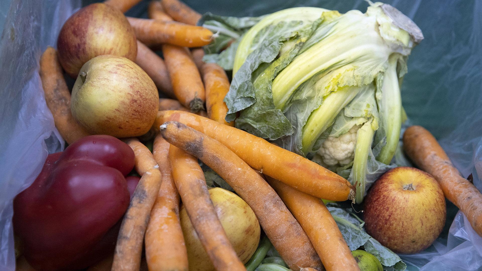 Фото: Ute Grabowsky photothek.net globallookpress.com