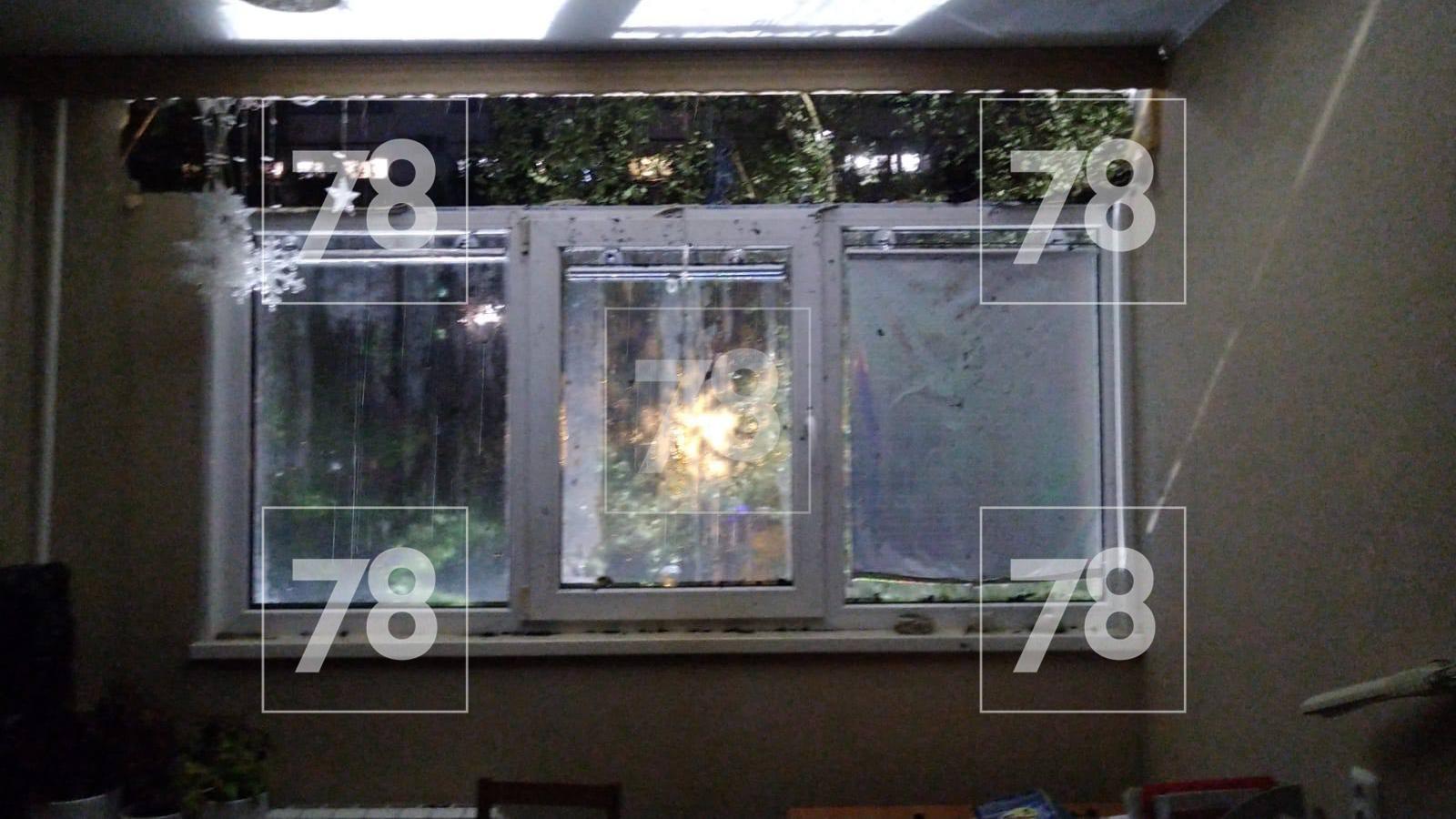 Источник: 78.ru