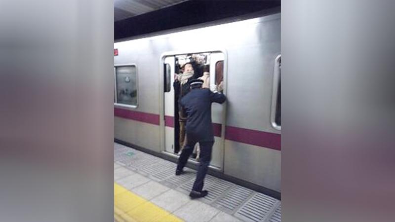 Фото: wikipedia.org 本屋. 本屋; CC BY-SA 3.0