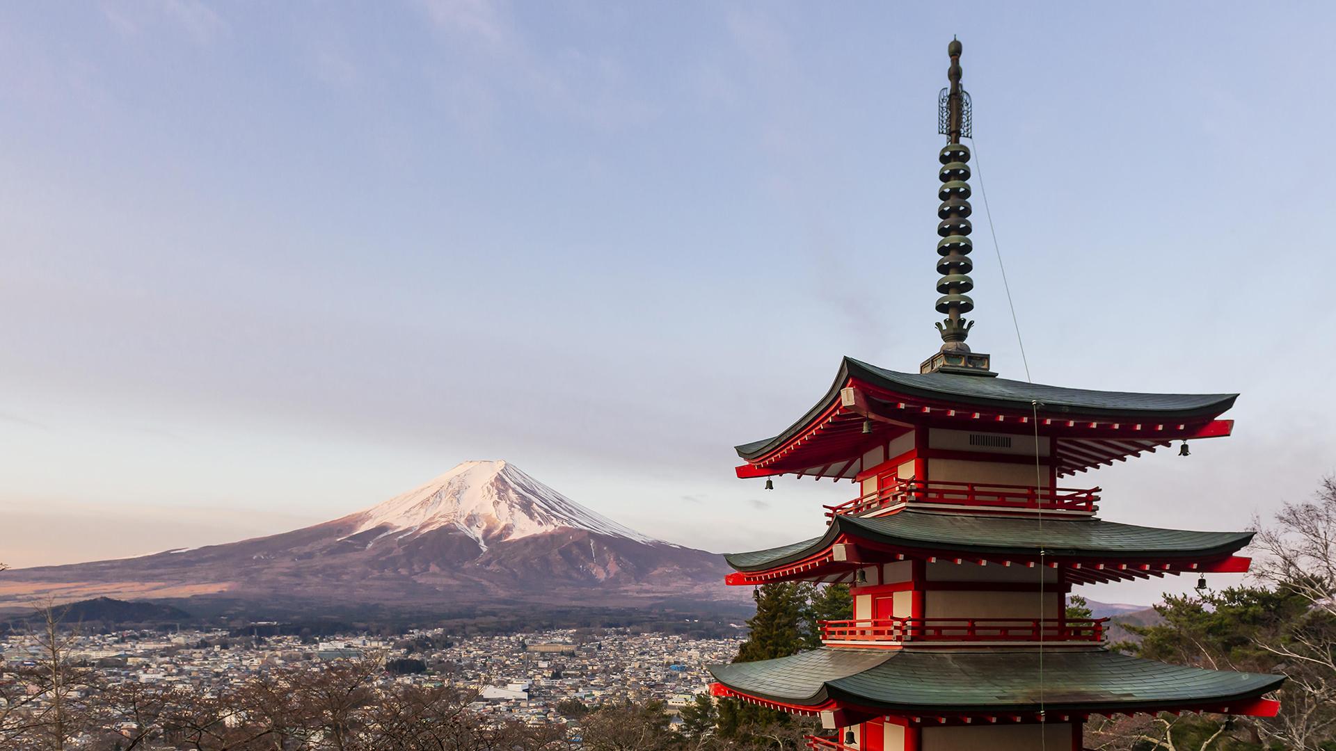 Фото: Moritz Wolf globallookpress.com