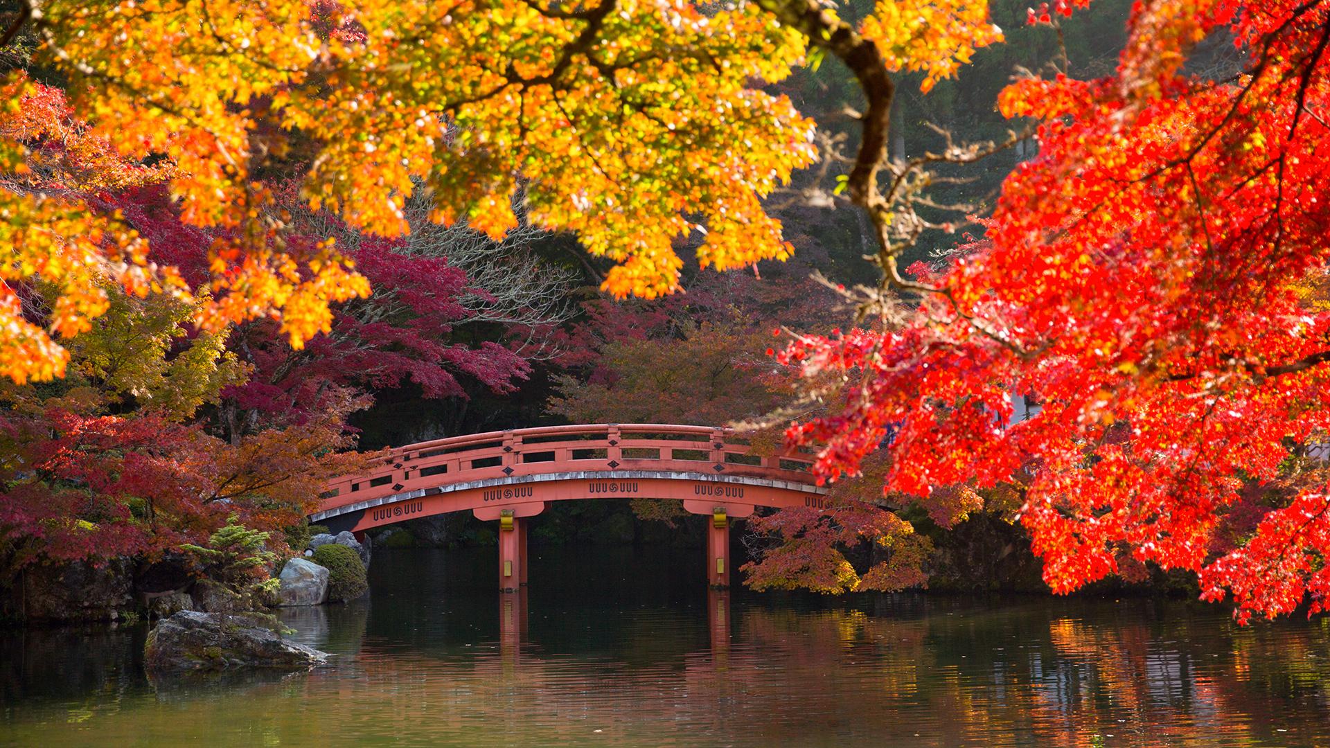 Фото: Stanislav Kogiku globallookpress.com