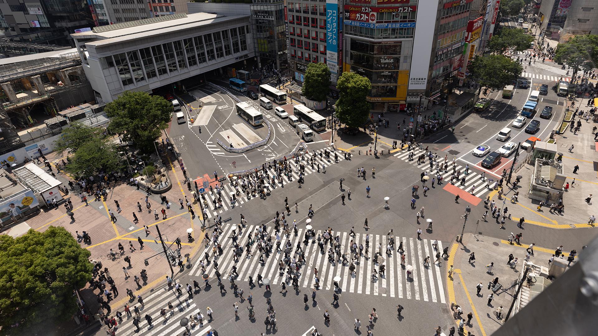 Фото: Shingo Tosha globallookpress.com