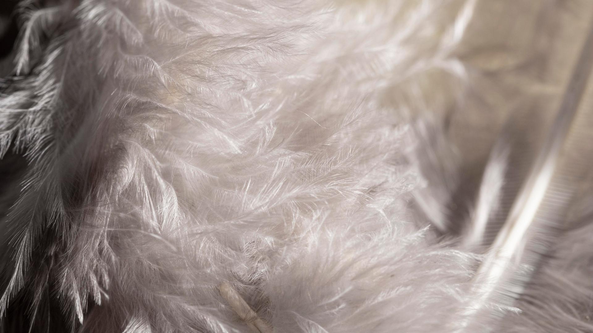 Фото: ru.freepik.com