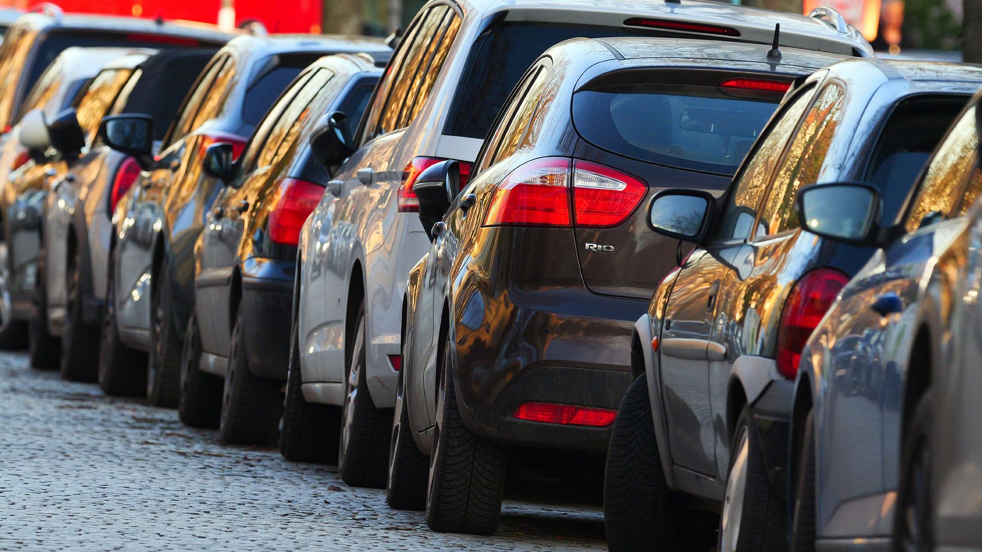 Фото: Wolfram Steinberg globallookpress.com