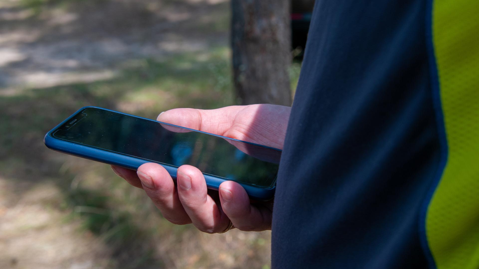 Фото: Svetlana Vozmilova globallookpress.com