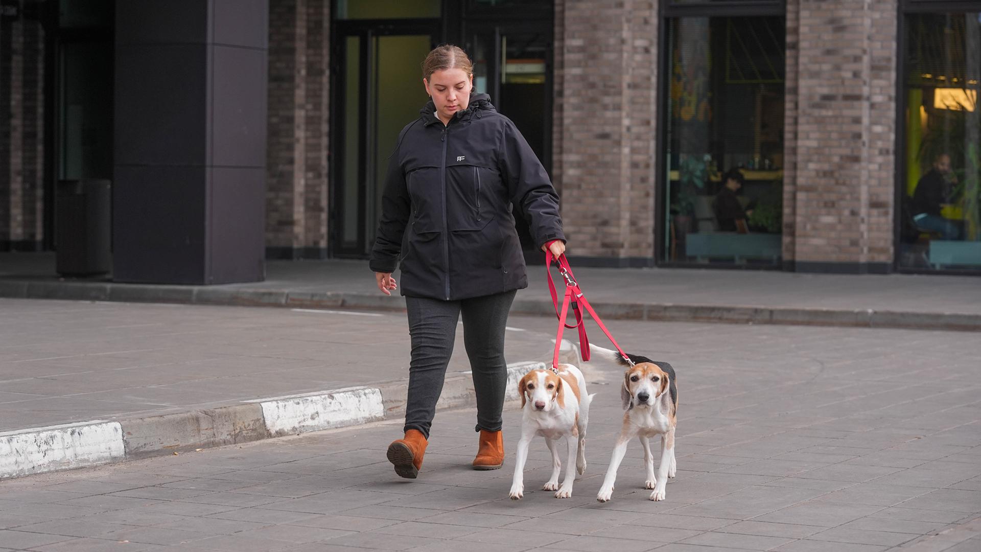 Фото: ИЗВЕСТИЯ Андрей Эрштрем