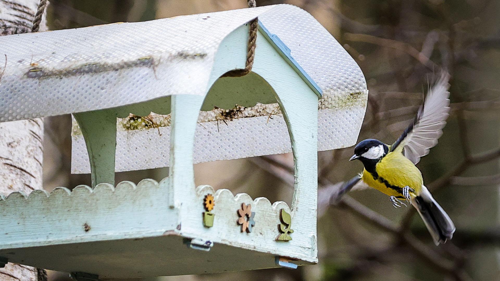 Фото: Roman Naumov globallookpress.com