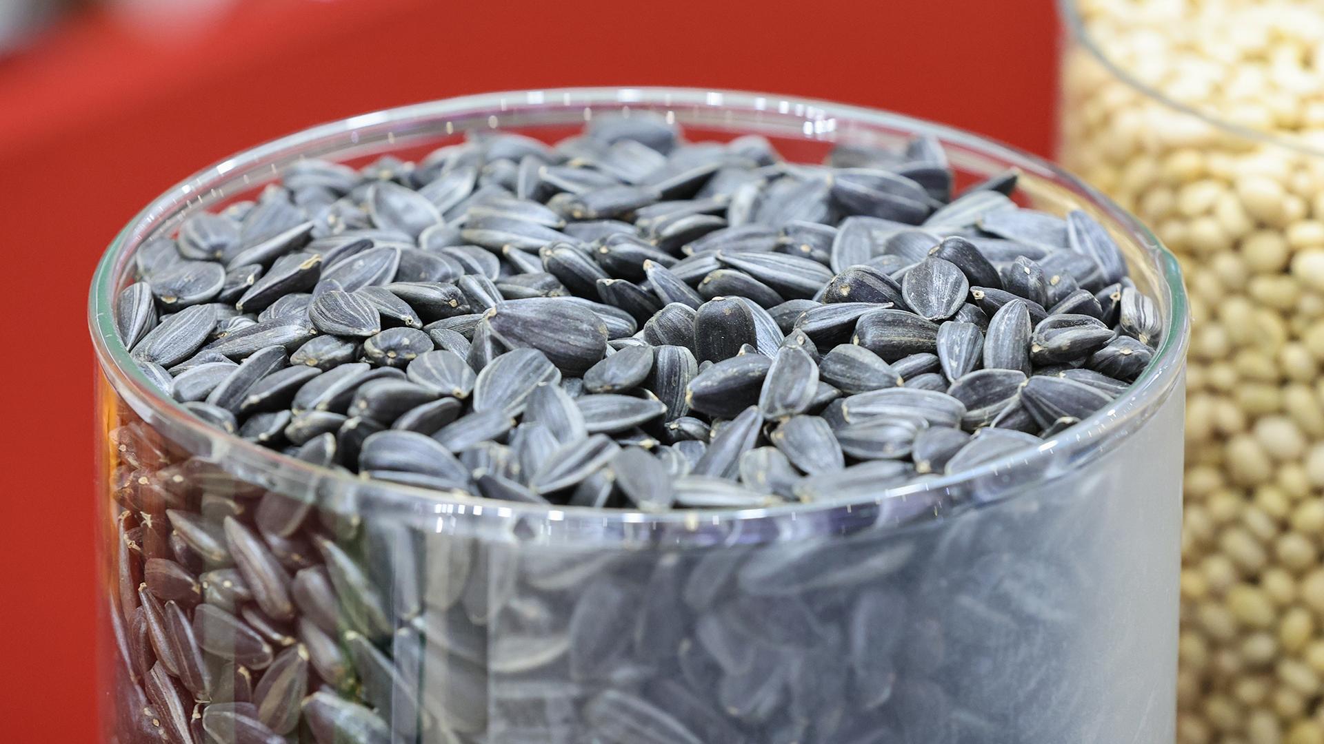 Фото: Belkin Alexey globallookpresss.com