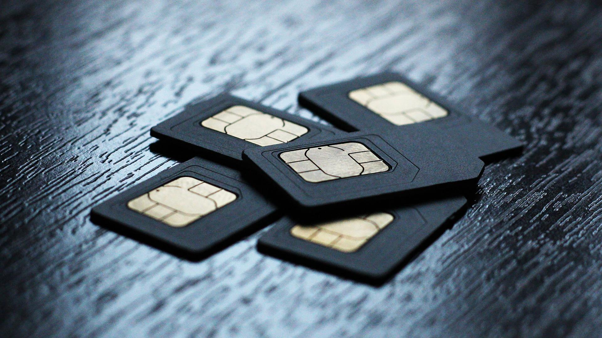 Фото: ИЗВЕСТИЯ Юлия Майорова