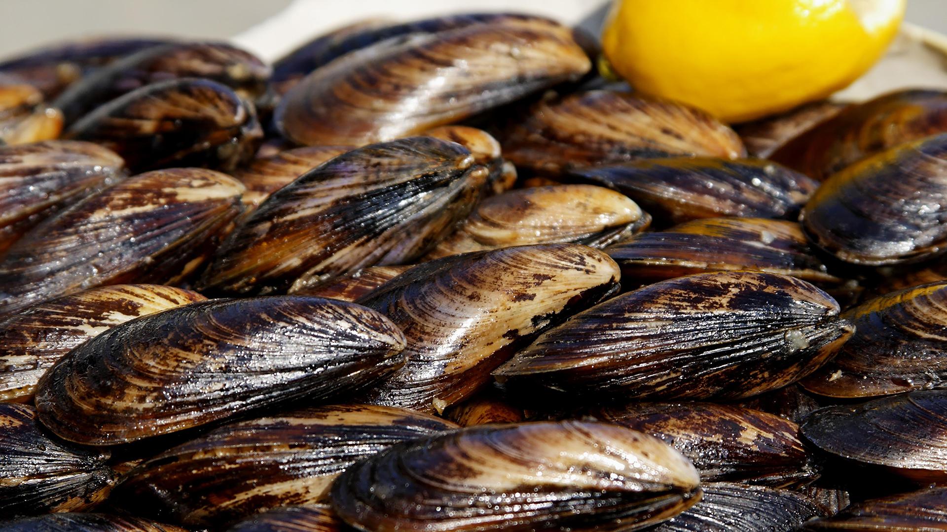 Фото: PhotoGraphX Eva Bender globallookpress.com