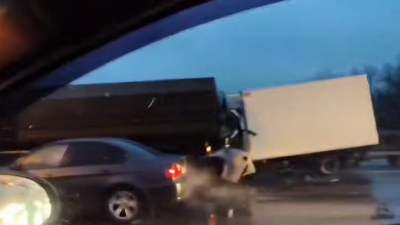 Фото: t.me Megapolisonline