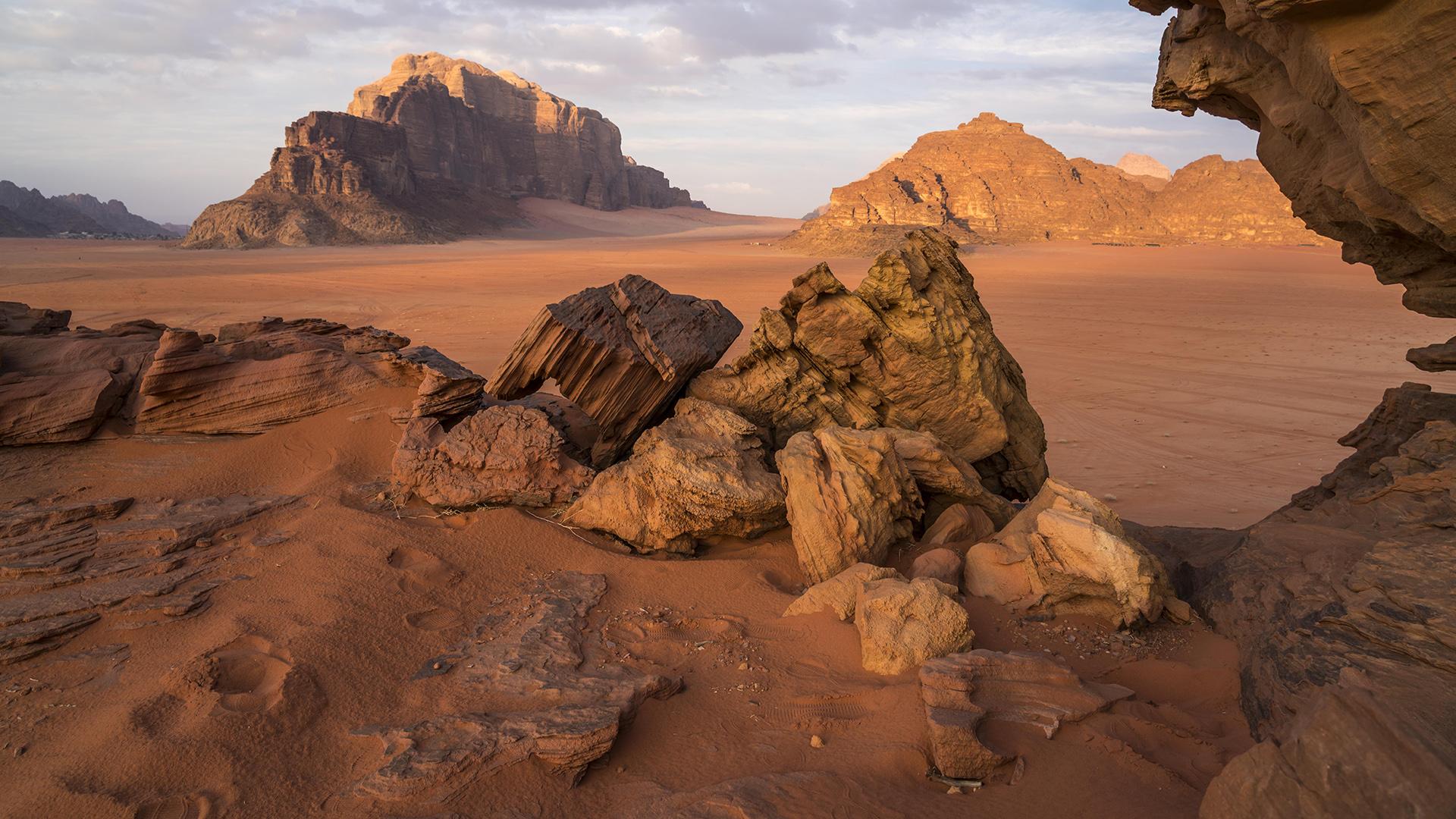 Фото: Peter Schickert globallookpress.com