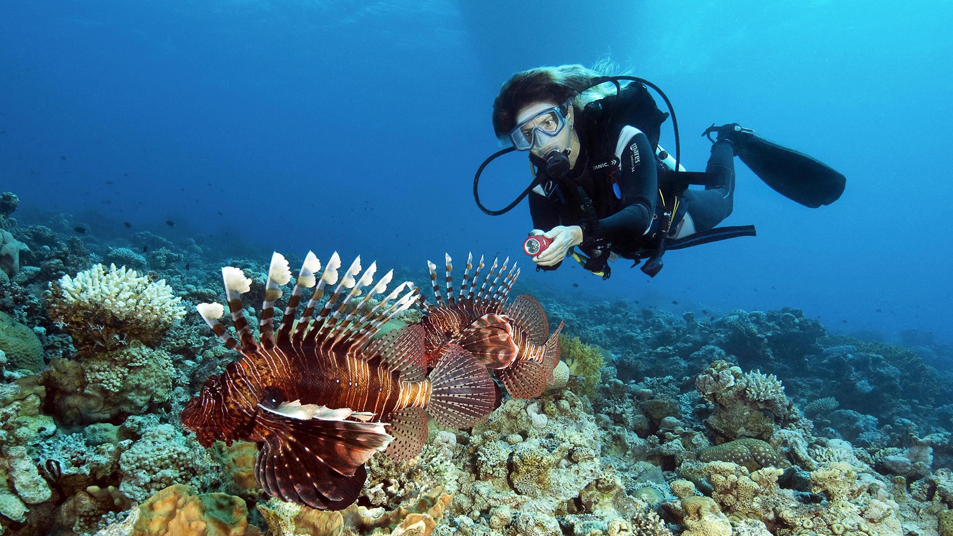 Фото: Frank Schneider globallookpress.com