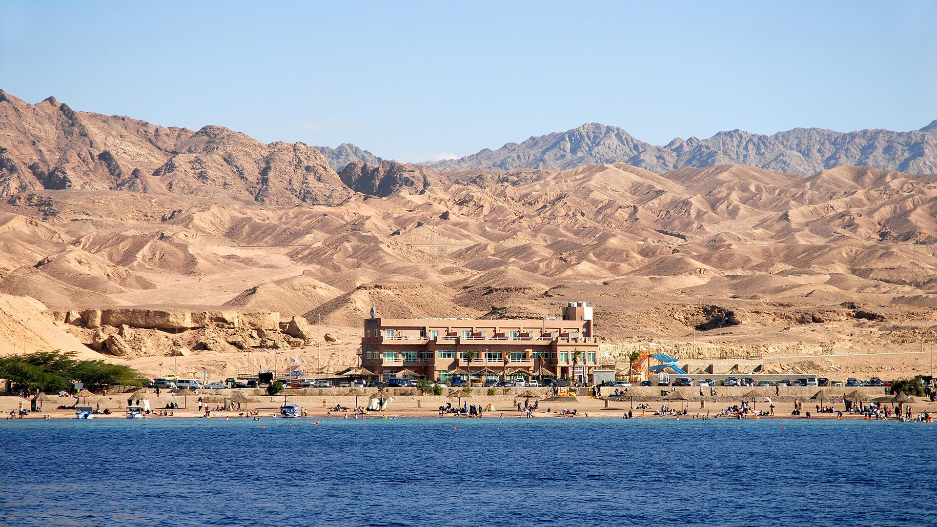 Фото: Joachim Hiltmann globallookpress.com