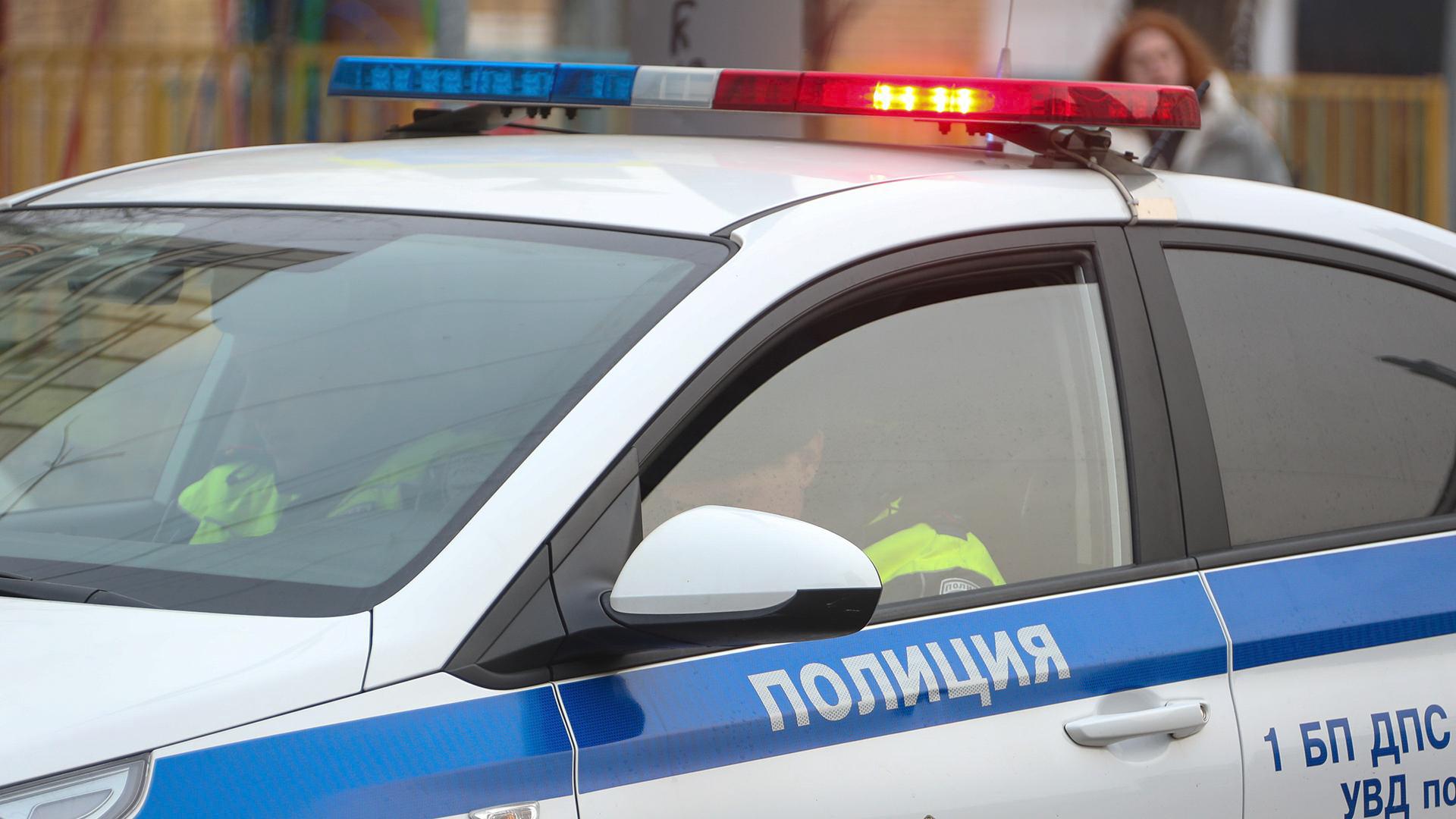 Фото: Pogiba Alexandra globallookpress.com