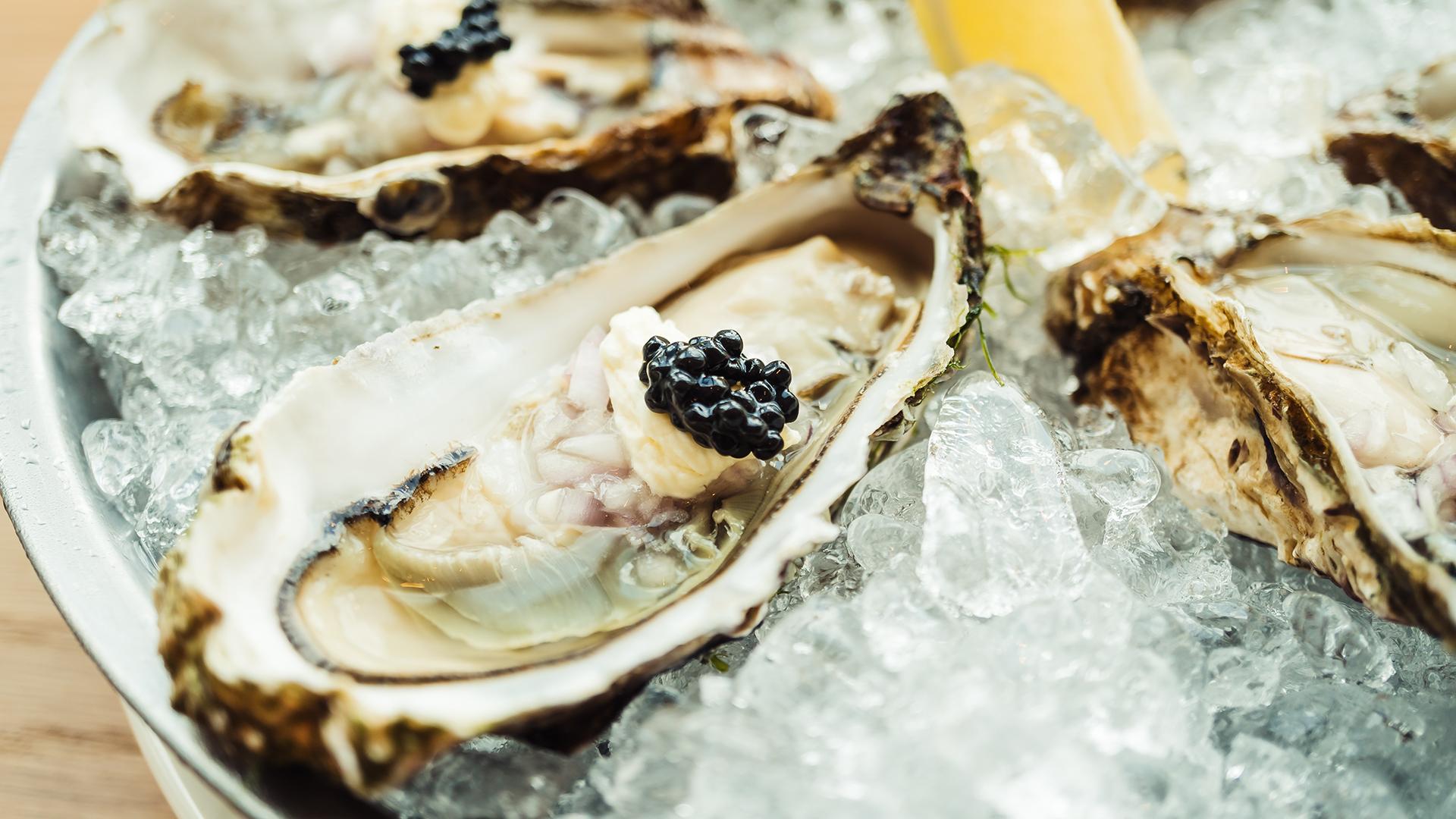 Фото: freepik.com lifeforstock