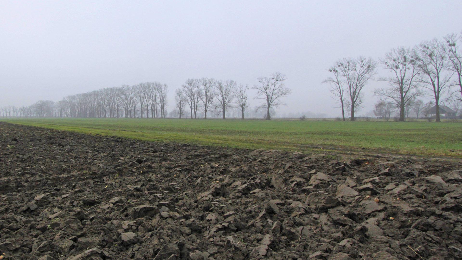 Фото: F8-DASBILD globallookpress.com