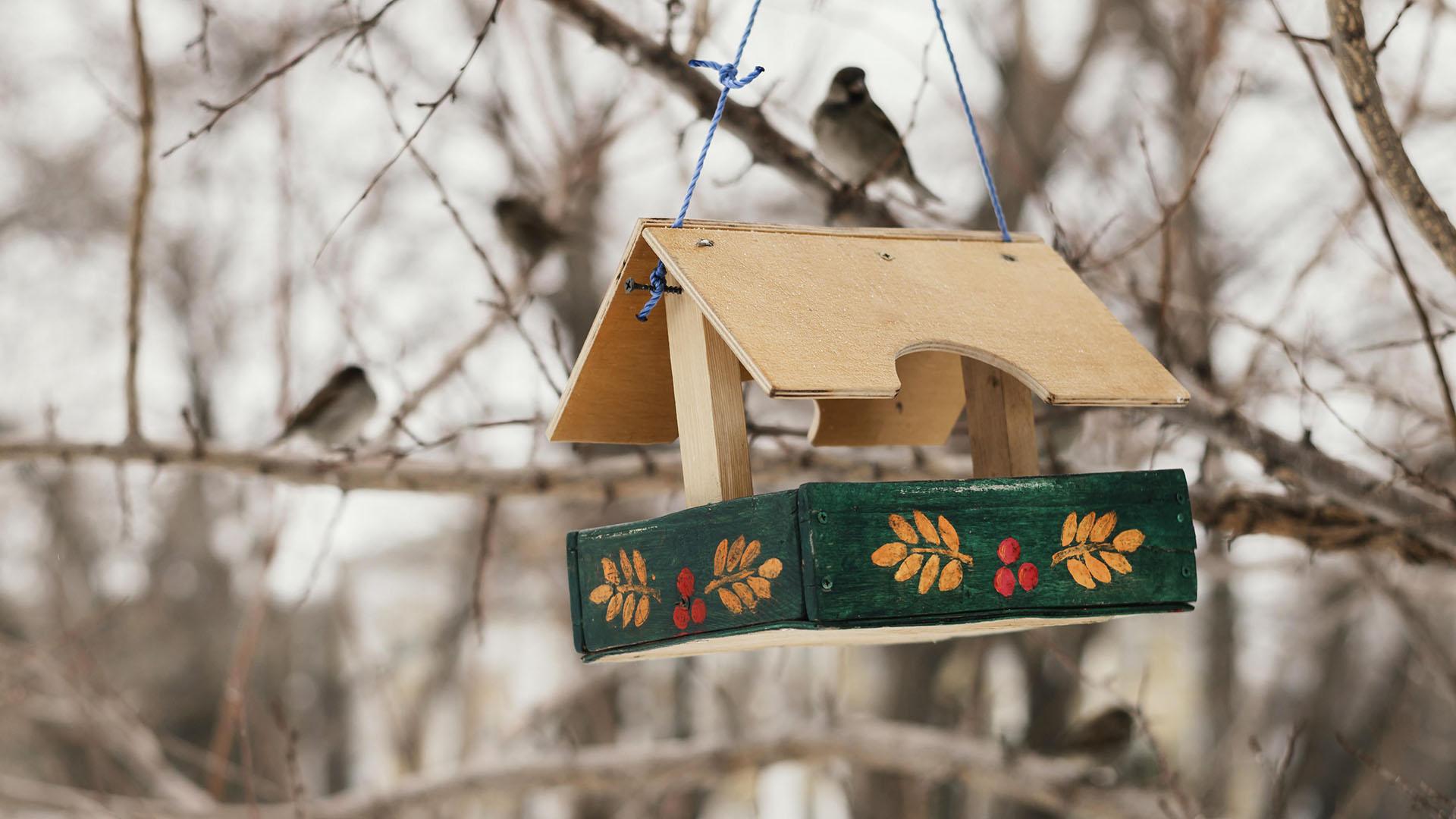 Фото: freepik.com