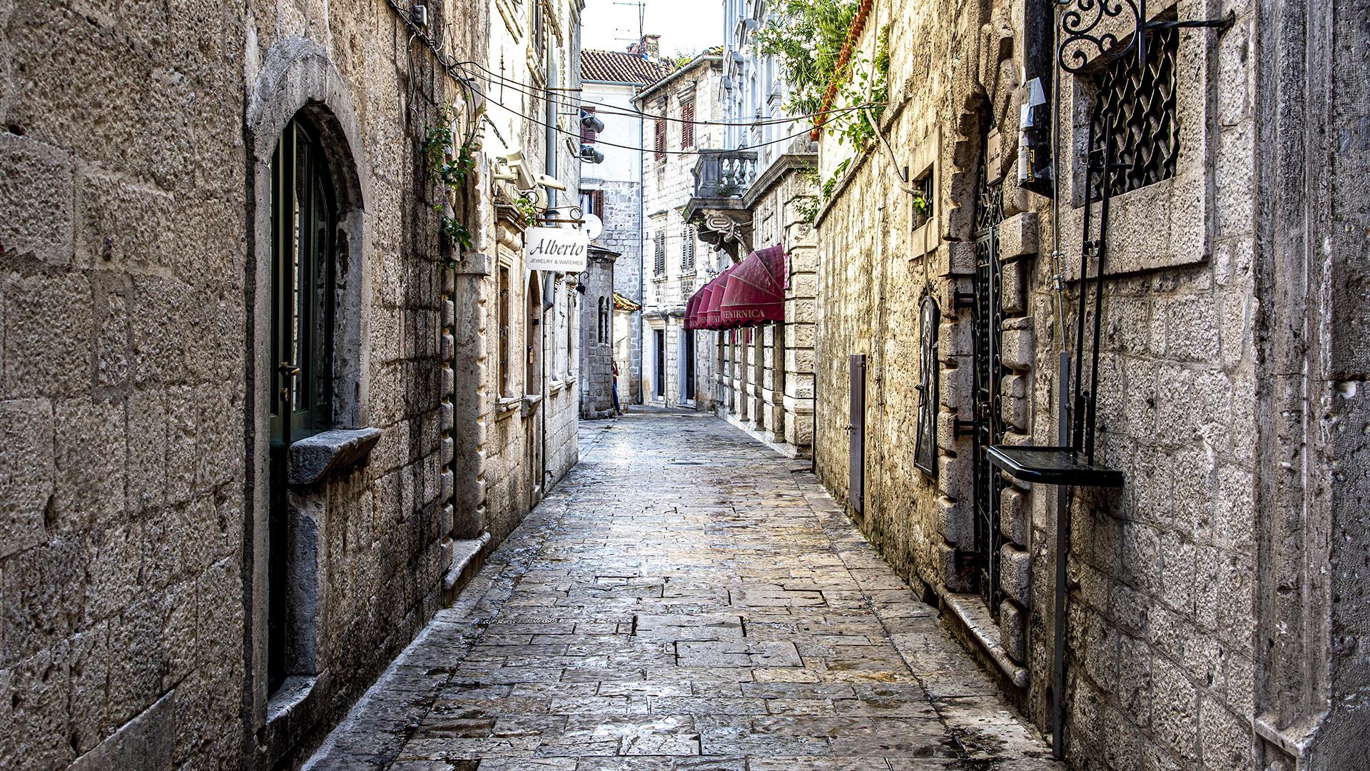 Фото: Frank Ludwig globallookpress.com