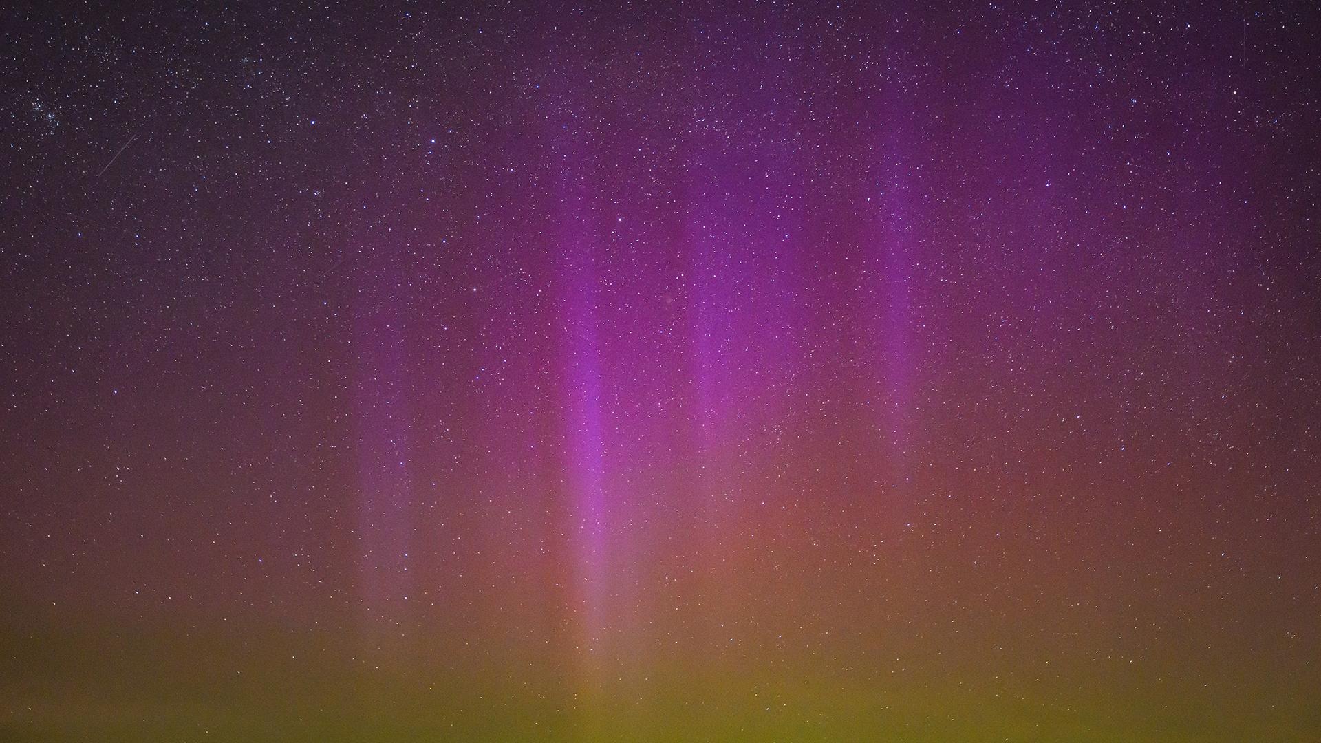 Фото: Patrick Pleul globallookpress.com