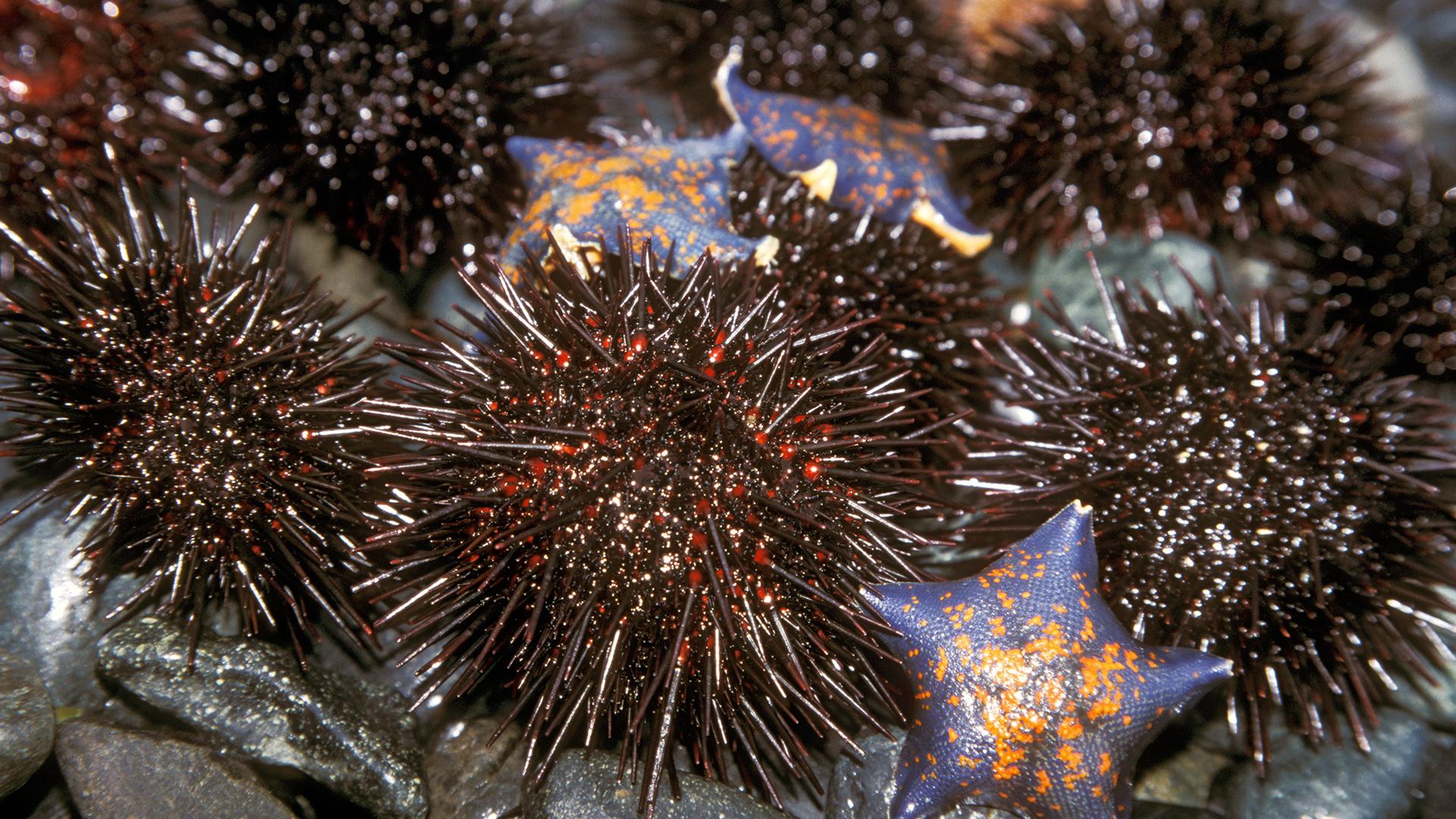 Фото: Konstantin Mikhailov globallookpress.com