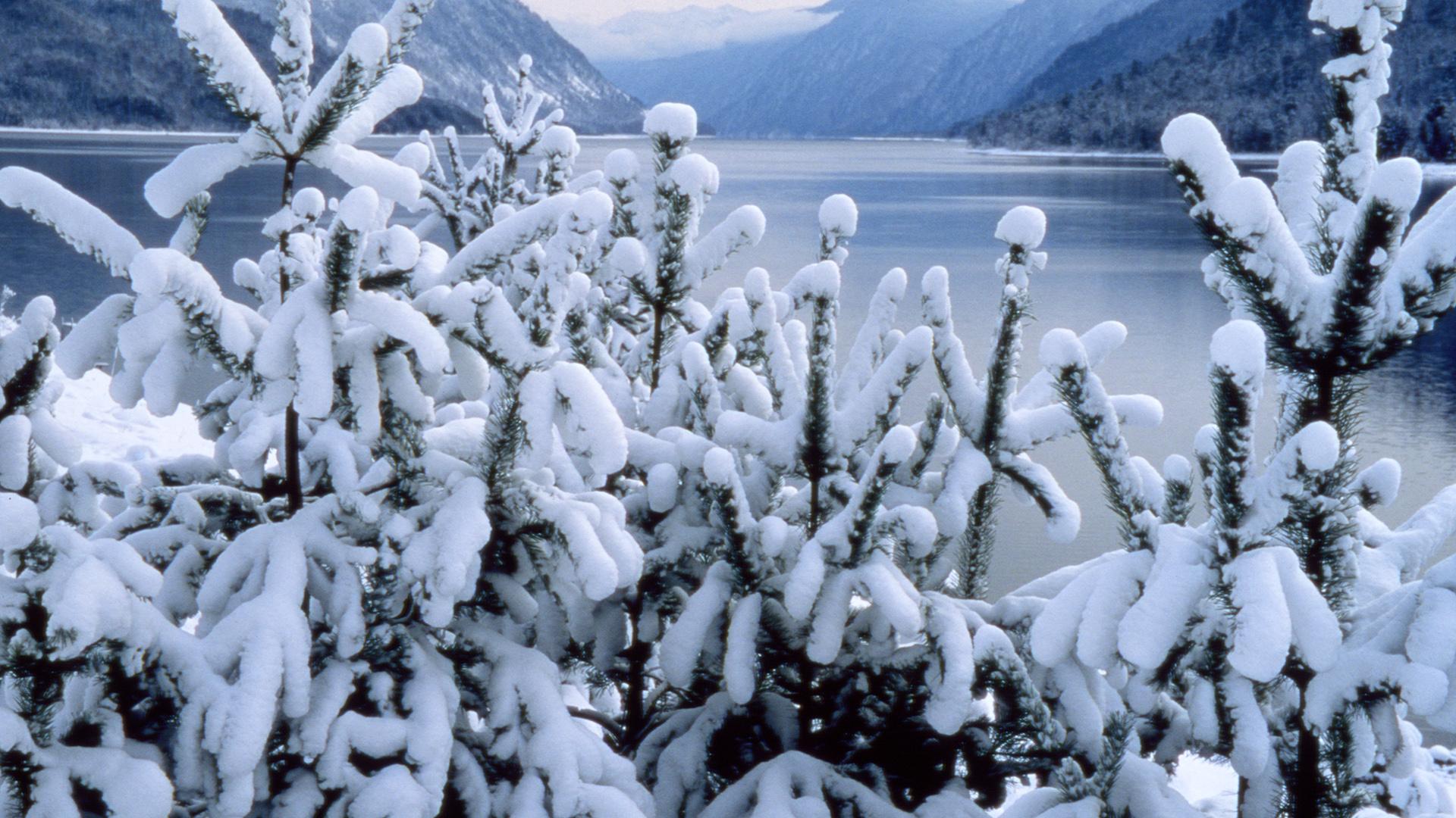 Фото: Konstantin Mikhailov globallookpress.com