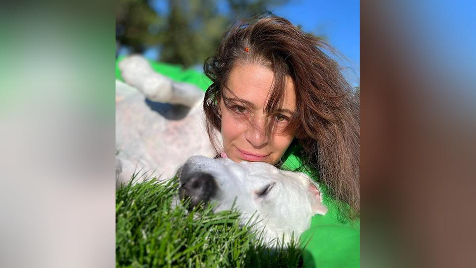 Фото: t.me Fanderafandera