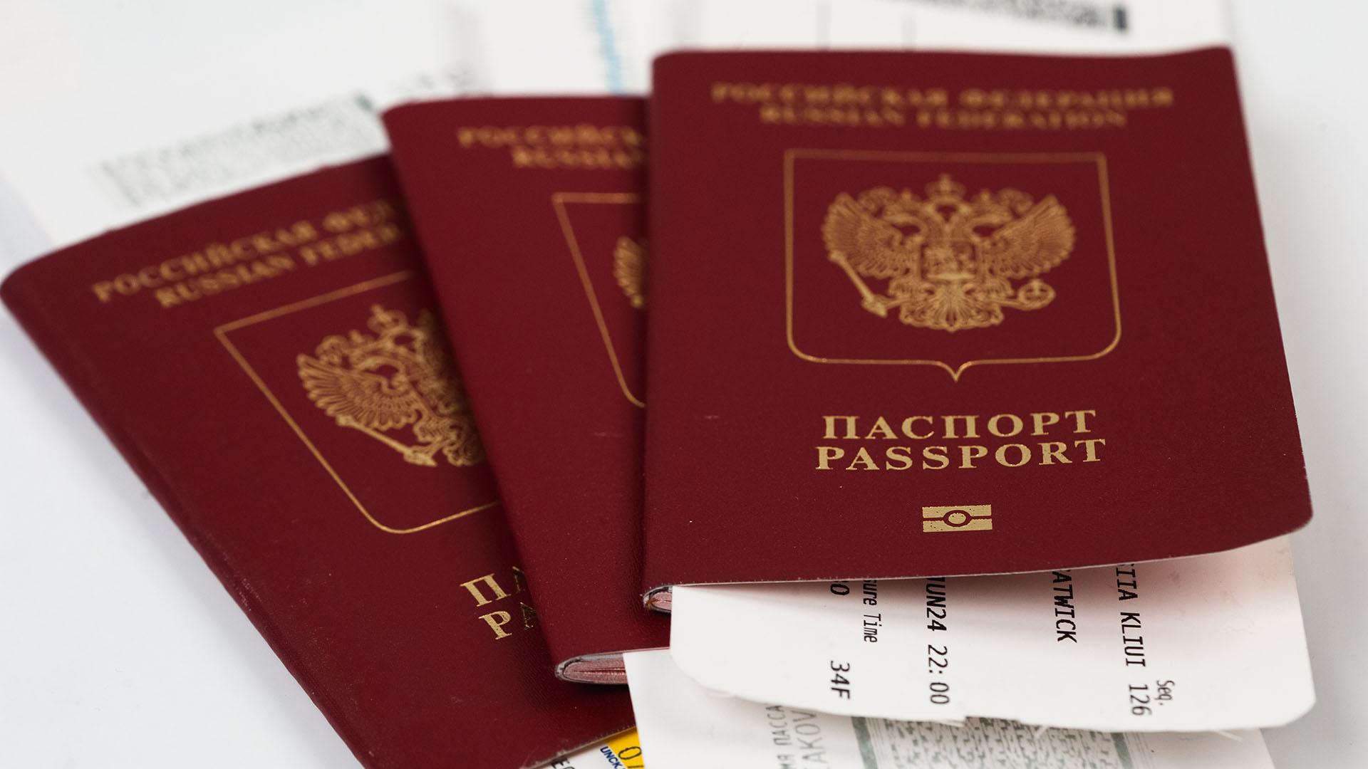 Фото: ИЗВЕСТИЯ Телеканал «78»