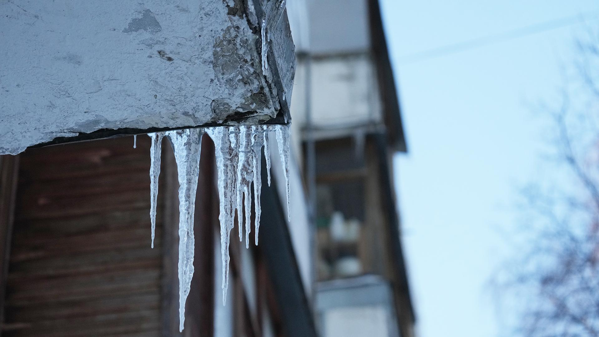 Фото: ИЗВЕСТИЯ Дмитрий Коротаев