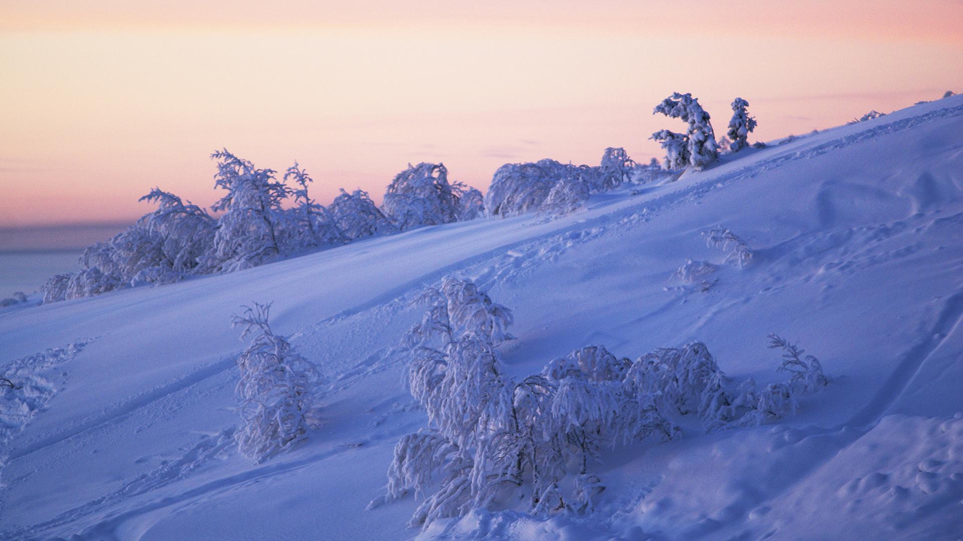Фото: Alexander Chaplygin globallookpress.com